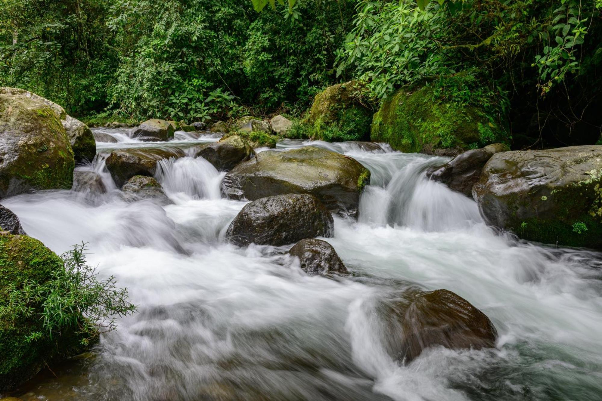 Hotel Rivel - Restaurant & Nature Retreat Turrialba Extérieur photo