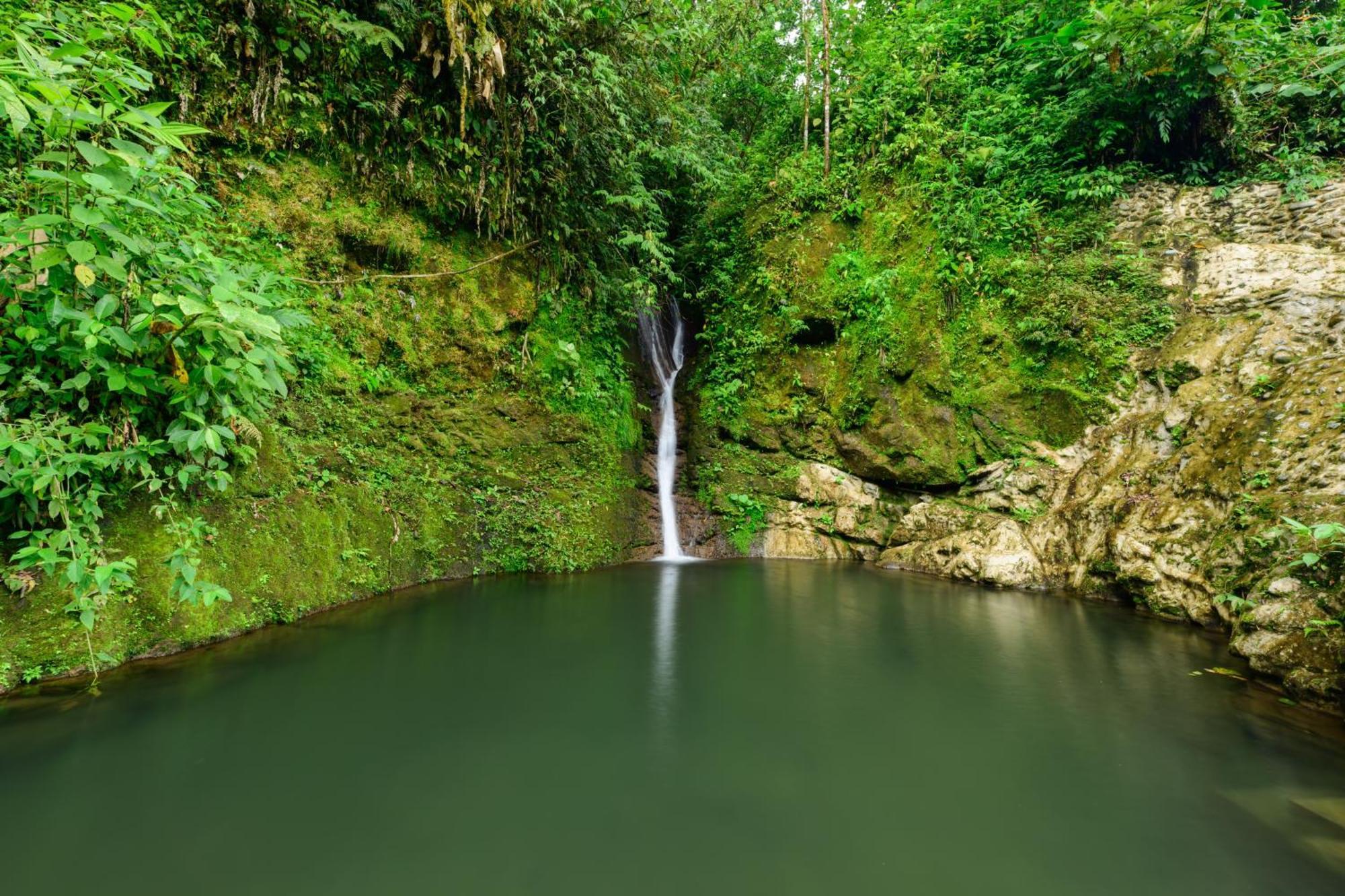 Hotel Rivel - Restaurant & Nature Retreat Turrialba Extérieur photo