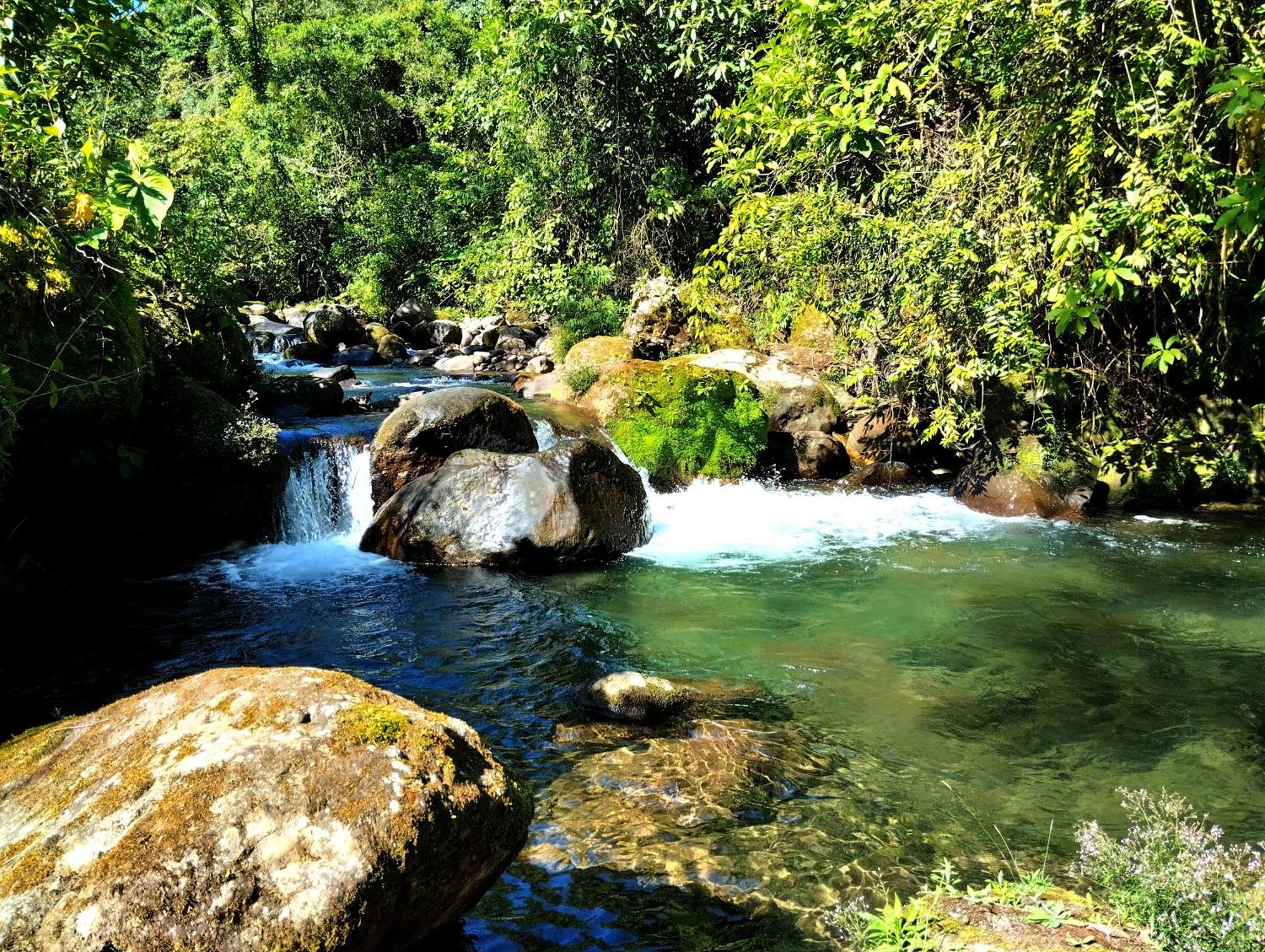 Hotel Rivel - Restaurant & Nature Retreat Turrialba Extérieur photo