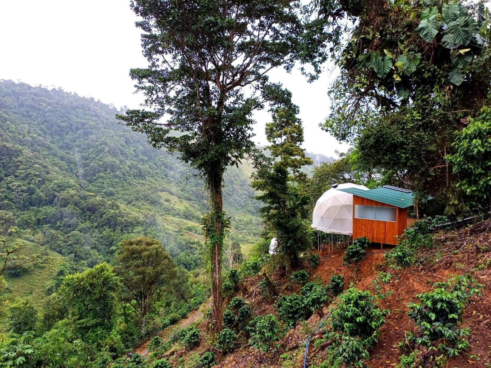 Hotel Rivel - Restaurant & Nature Retreat Turrialba Extérieur photo