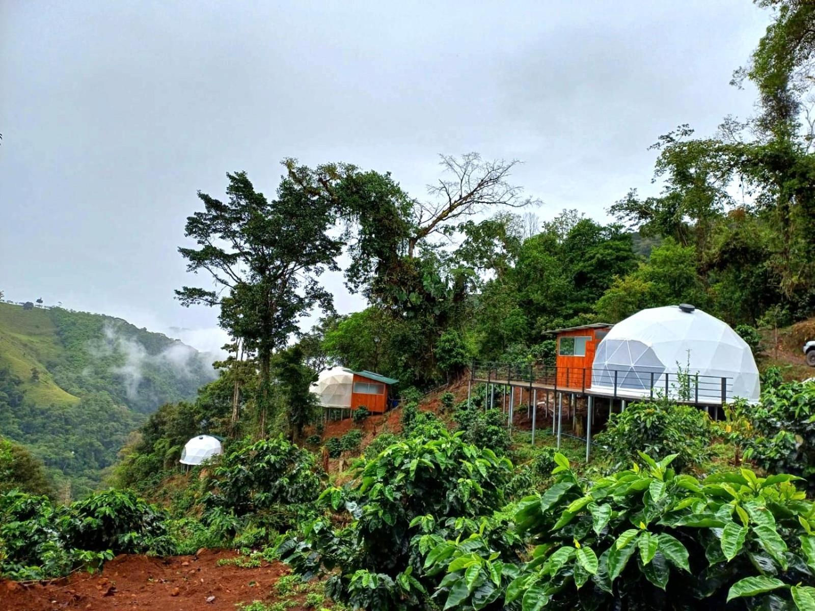 Hotel Rivel - Restaurant & Nature Retreat Turrialba Extérieur photo