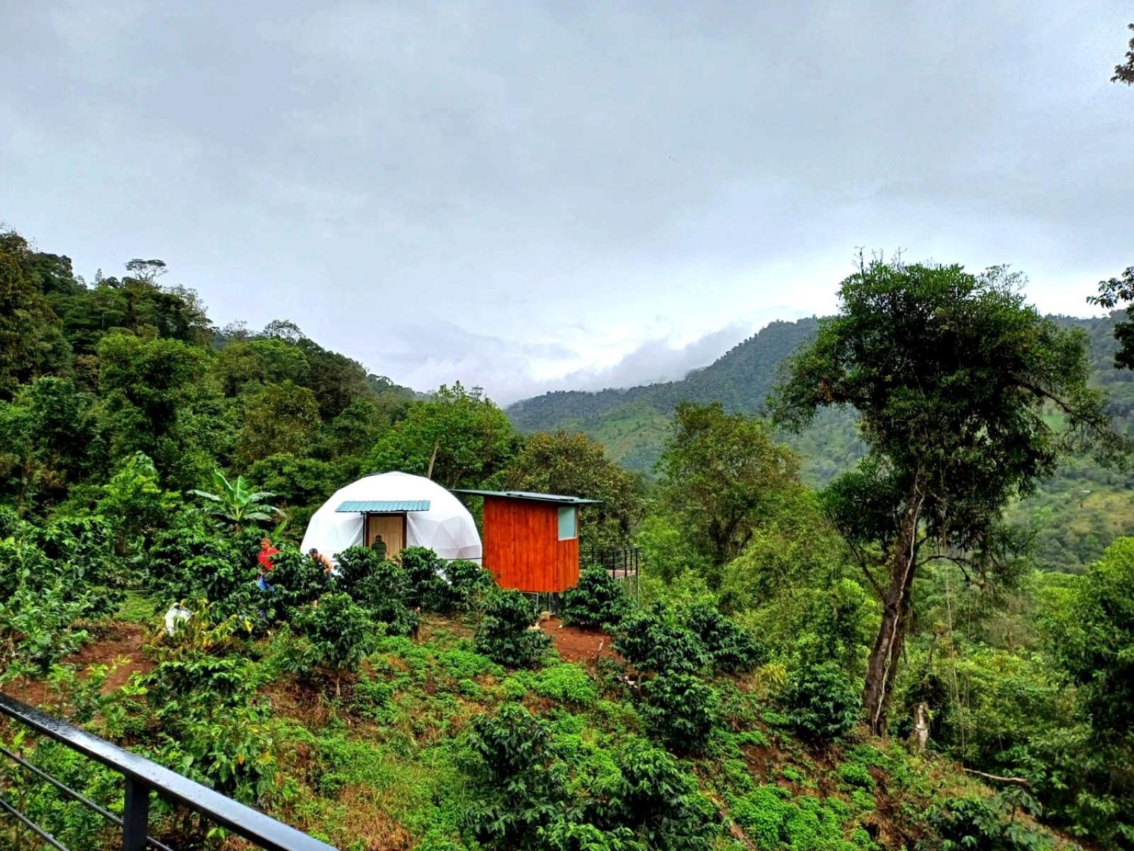 Hotel Rivel - Restaurant & Nature Retreat Turrialba Extérieur photo