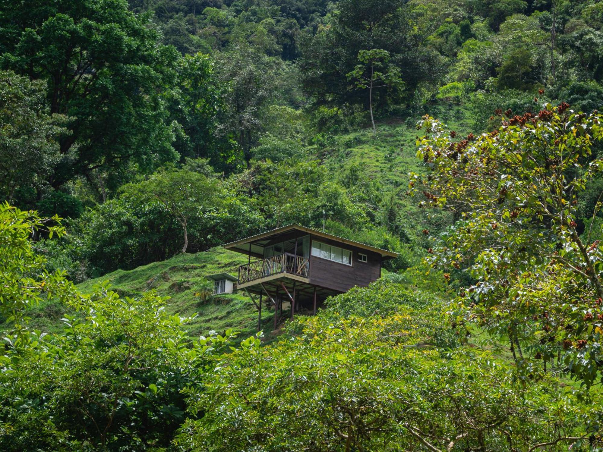 Hotel Rivel - Restaurant & Nature Retreat Turrialba Extérieur photo