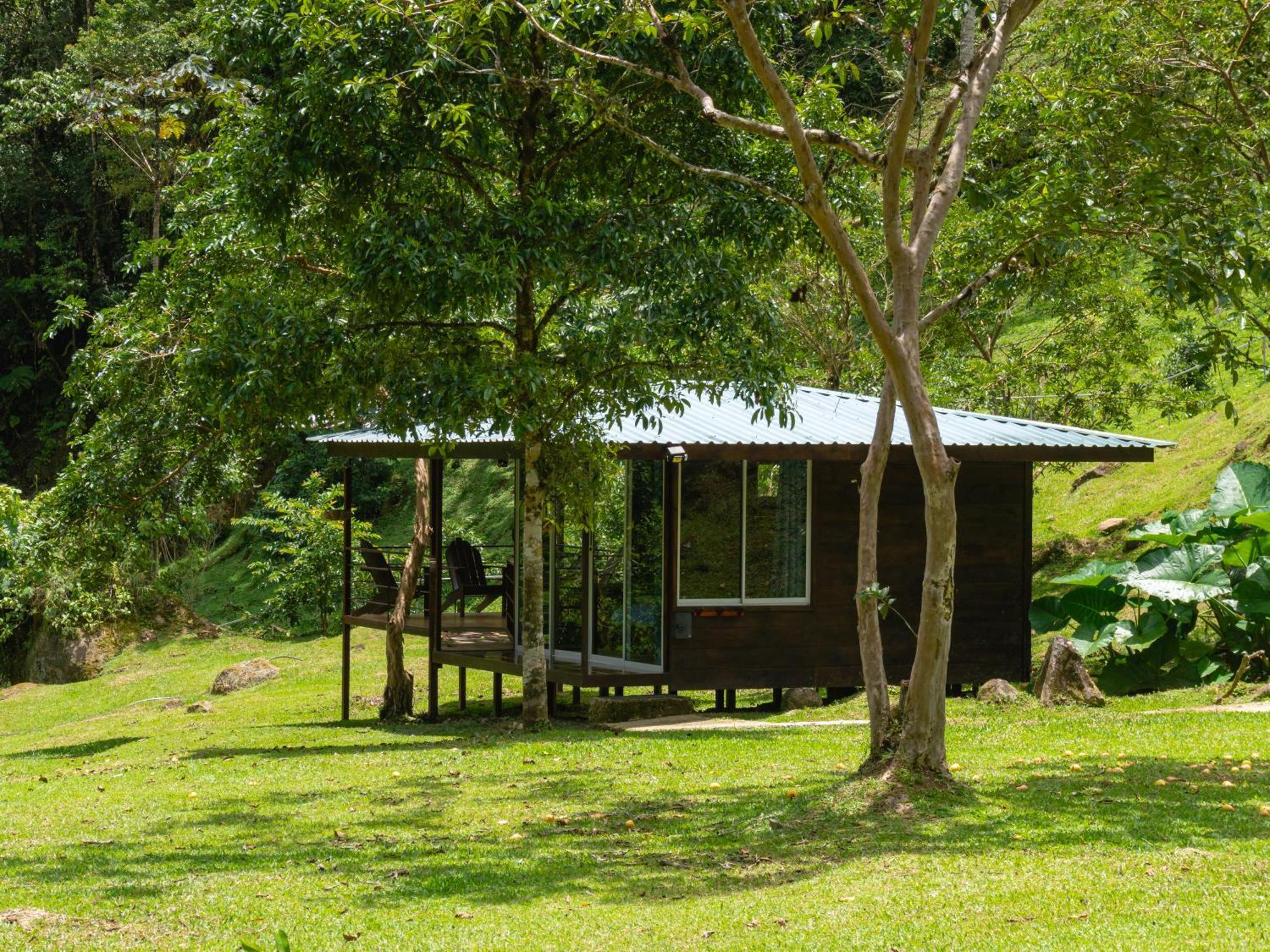 Hotel Rivel - Restaurant & Nature Retreat Turrialba Extérieur photo